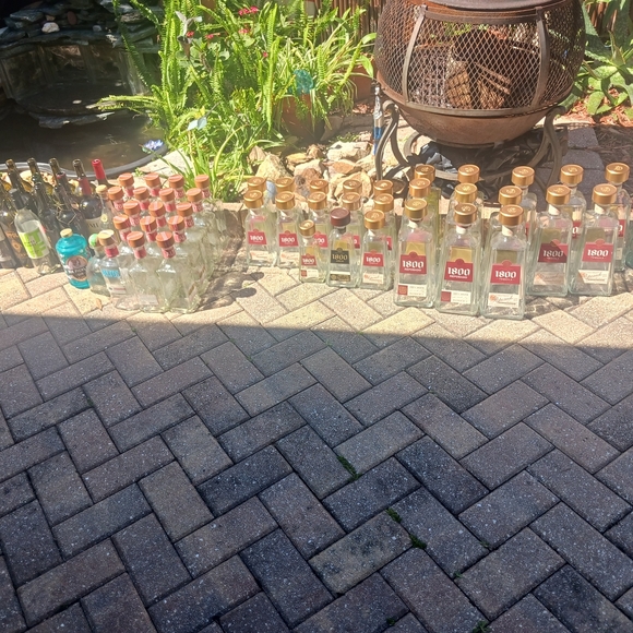 Assorted Glass Bottles for Home Party Supplies